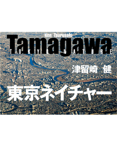 Tamagawa 東京ネイチャー