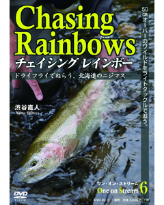 Chasing Rainbows One on Stream 6